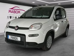 Weiß Neu 2024 Fiat Panda Kleinwagen | 13.990 € (Guter Preis)