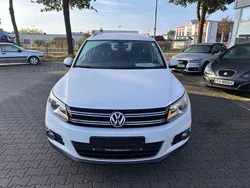 Weiß Gebraucht 2014 VW Tiguan Sportline SUV | 10.900 € (Fairer Preis)
