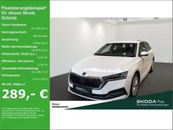 Weiß Gebraucht 2023 Skoda Octavia Style Kombi | 22.999 € (Fairer Preis)