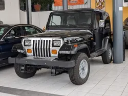 Schwarz Gebraucht 1996 Jeep Wrangler SUV | 16.990 € (Teuer)