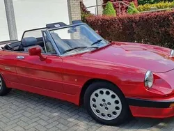 Rot Gebraucht 1988 Alfa Romeo Spider Cabrio | 17.900 €