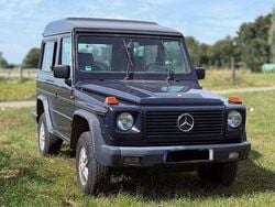 Blau Gebraucht 1991 Mercedes G300 SUV | 17.500 €