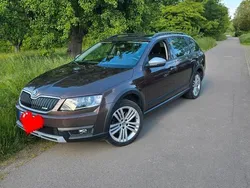 Grau Gebraucht 2016 Skoda Octavia Scout Kombi | 13.500 € (Fairer Preis)