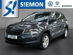 Grau Gebraucht 2019 Skoda Karoq Ambition SUV | 18.980 € (Fairer Preis)