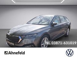 Grau Gebraucht 2022 Skoda Octavia Style Kombi | 26.950 € (Etwas zu teuer)