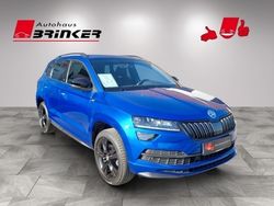 Blau Gebraucht 2019 Skoda Karoq SportLine SUV | 23.930 € (Etwas zu teuer)
