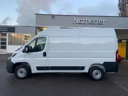 Lackierung weiss icy/typ ausse Neu 2024 Opel Movano Van | 29.990 € (Guter Preis)