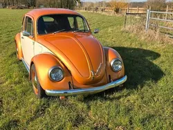 VW Käfer