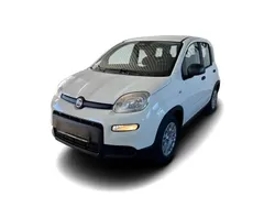 Weiss Neu 2024 Fiat Panda Kleinwagen | 18.979 €