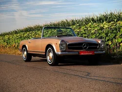 Gold Gebraucht 1966 Mercedes 230 Cabrio | 89.950 €