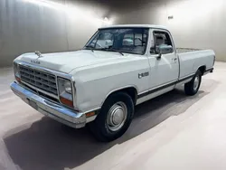Weiß Gebraucht 1984 Dodge Ram Abholung | 17.999 €