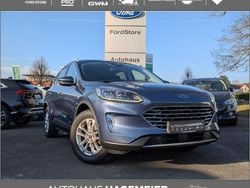 Blau Gebraucht 2020 Ford Kuga Titanium X SUV | 19.950 € (Fairer Preis)