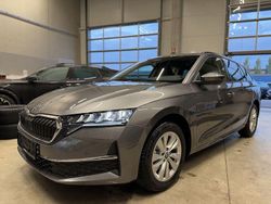 Grau Neu 2025 Skoda Octavia Kombi | 31.900 € (Guter Preis)