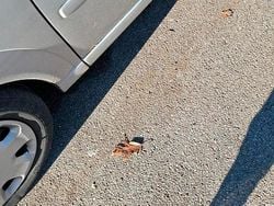 Silber Gebraucht 2005 Opel Meriva Edition Van / Kleinbus | 1.777 € (Guter Preis)