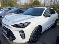 Glacier white metallic Gebraucht 2025 Cupra Terramar SUV | 32.990 € (Fairer Preis)