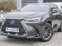 Norigrün metallic Neu 2025 Lexus NX450h+ E-FOUR Executive Line SUV | 59.990 €
