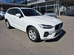 Weiss Gebraucht 2021 Volvo XC60 Momentum SUV | 39.900 € (Guter Preis)
