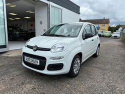 Weiß Neu 2025 Fiat Panda Kleinwagen | 15.250 € (Fairer Preis)