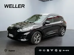 Schwarz Gebraucht 2024 Ford Kuga ST-Line SUV | 26.580 € (Superpreis)