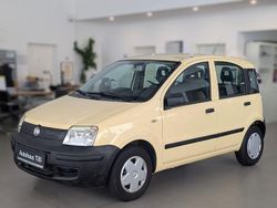 Gelb Gebraucht 2009 Fiat Panda Active Kleinwagen | 1.990 € (Fairer Preis)