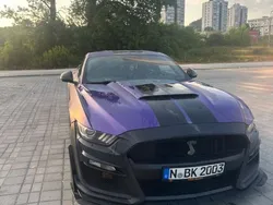 Ford Shelby