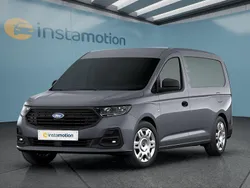 Grau Neu 2025 Ford Transit Limousine | 30.749 € (Etwas zu teuer)
