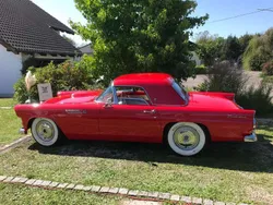 Rot Gebraucht 1955 Ford Thunderbird Cabrio | 34.500 €