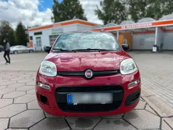Rot Gebraucht 2013 Fiat Panda Kleinwagen | 2.499 €