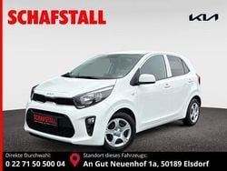 Weiß Gebraucht 2024 Kia Picanto Vision Kleinwagen | 15.679 € (Fairer Preis)
