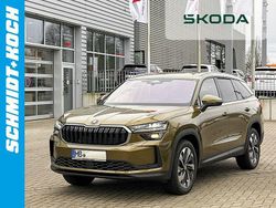 Gold Gebraucht 2024 Skoda Kodiaq Selection SUV | 39.970 € (Guter Preis)