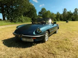 Blau Gebraucht 1986 Alfa Romeo Spider Cabrio | 16.500 €