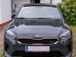 Grau Gebraucht 2019 Kia ProCeed Family Kleinwagen | 17.990 € (Fairer Preis)