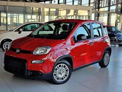 Rot Neu 2024 Fiat Panda Kleinwagen | 14.490 € (Fairer Preis)