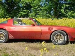 Rot Gebraucht 1981 Pontiac Trans Am Coupé | 18.900 €