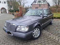 Grau Gebraucht 1995 Mercedes 220 Limousine | 6.900 €