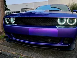 Violet Gebraucht 2019 Dodge Challenger Coupé | 25.000 € (Fairer Preis)