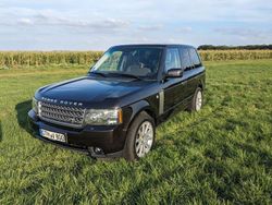 Braun Gebraucht 2010 Land Rover Range Rover HSE SUV | 11.400 € (Fairer Preis)
