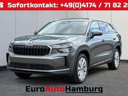 Graphitegrau metallic/grau Neu 2025 Skoda Kodiaq Selection SUV | 40.280 € (Guter Preis)