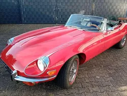 Rot Gebraucht 1972 Jaguar E-Type Cabrio | 96.000 €