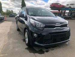 Schwarz Gebraucht 2023 Kia Picanto 2 Kleinwagen | 10.500 € (Fairer Preis)