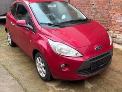 Violett Gebraucht 2013 Ford Ka Trend Kleinwagen | 1.950 € (Guter Preis)