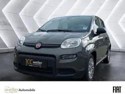 Grau Gebraucht 2023 Fiat Panda Kleinwagen | 13.450 € (Fairer Preis)