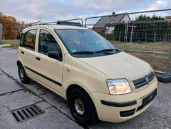 Gelb Gebraucht 2008 Fiat Panda Kleinwagen | 500 € (Superpreis)