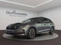 Grau Gebraucht 2024 Skoda Octavia Selection Kombi | 32.890 € (Guter Preis)