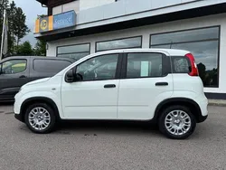 Weiss Gebraucht 2025 Fiat Panda Kleinwagen | 13.990 € (Etwas zu teuer)