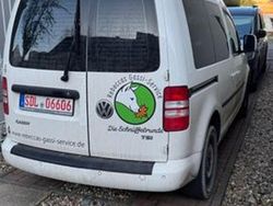 Weiß Gebraucht 2013 VW Caddy Van / Kleinbus | 6.990 € (Guter Preis)