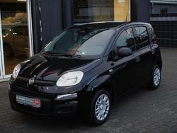Colore esterno (cinema schwarz Neu 2025 Fiat Panda Kleinwagen | 14.990 € (Fairer Preis)
