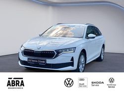 Candyweiss Neu 2025 Skoda Octavia Selection Kombi | 40.220 € (Teuer)