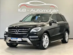 Schwarz Gebraucht 2014 Mercedes ML250 SUV | 20.900 € (Etwas zu teuer)