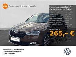 Maple braun Gebraucht 2020 Skoda Fabia Best of Kleinwagen | 15.990 € (Fairer Preis)